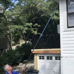 In-Control Pest & Termite Services