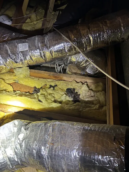 Truly Nolen Pest and Termite Control - Monmouth County Picture 1
