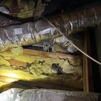 Truly Nolen Pest and Termite Control - Monmouth County ico