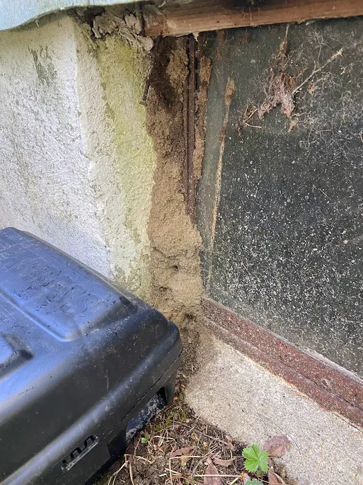 Truly Nolen Pest and Termite Control - Monmouth County Picture 3