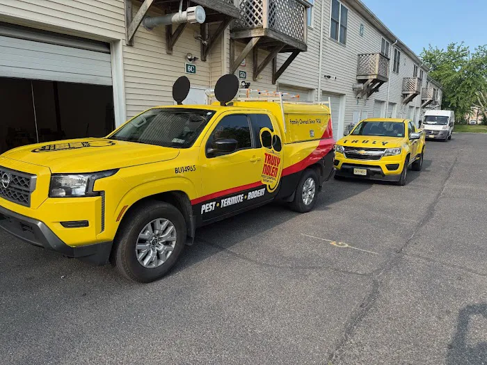 Truly Nolen Pest and Termite Control - Monmouth County Picture 9