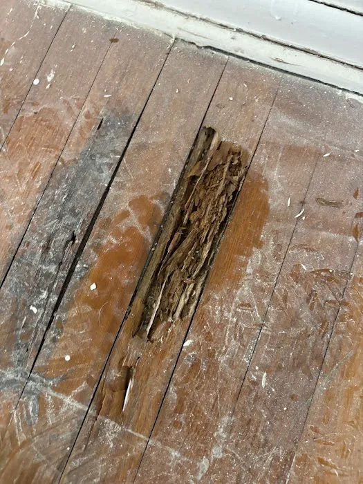 Truly Nolen Pest and Termite Control - Monmouth County Picture 6