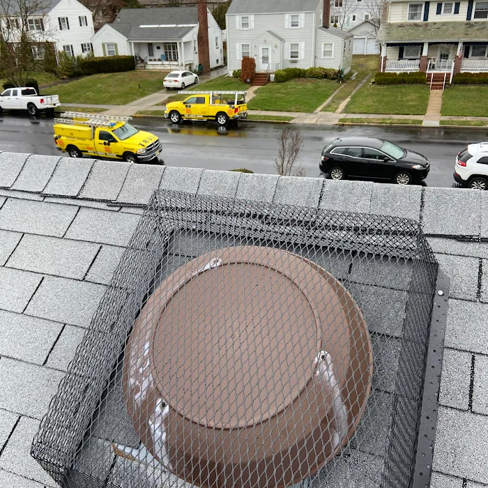 Truly Nolen Pest and Termite Control - Monmouth County Picture 10