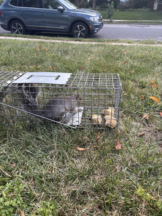 Animal Control NY/NJ Picture 4