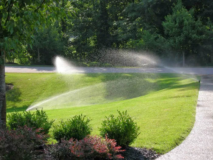 EcoSystems Total Outdoor Solutions Picture 4