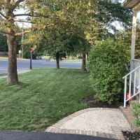 Lawn Buddies ico