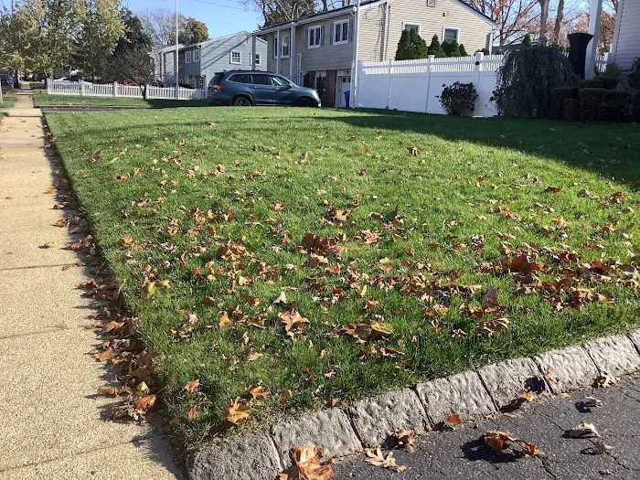 Lawn Buddies Picture 6