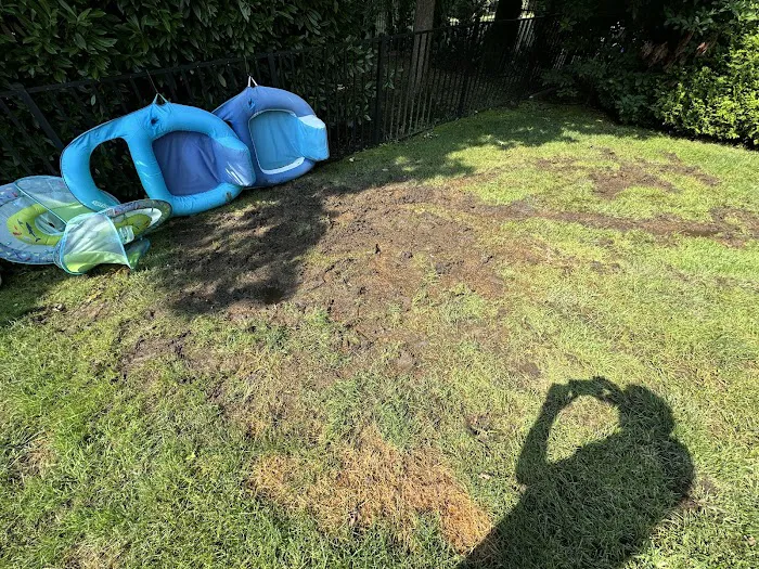 Lawn Buddies Picture 7