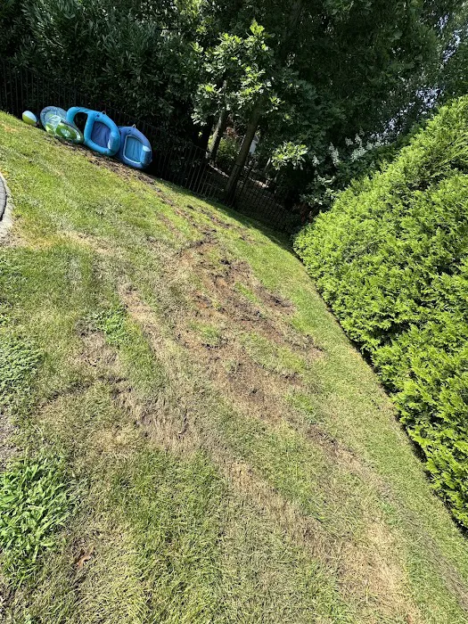 Lawn Buddies Picture 3