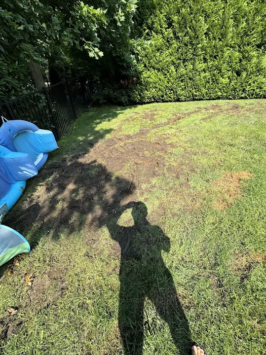 Lawn Buddies Picture 5