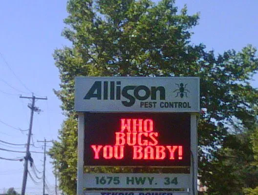 Allison Pest Control Picture 1