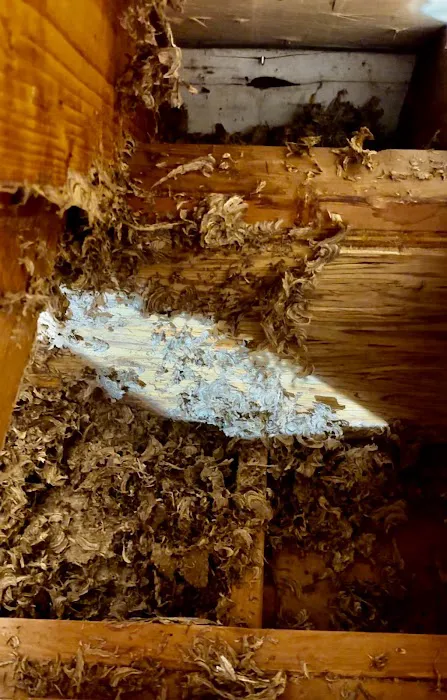 Allison Pest Control Picture 2