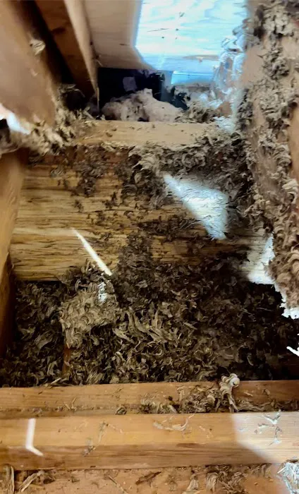 Allison Pest Control Picture 3