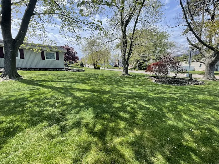 Lawn Buddies Picture 6