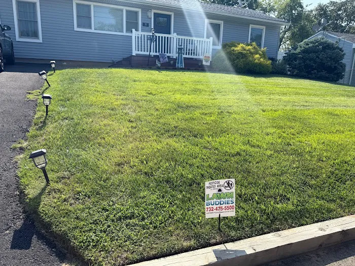 Lawn Buddies Picture 3