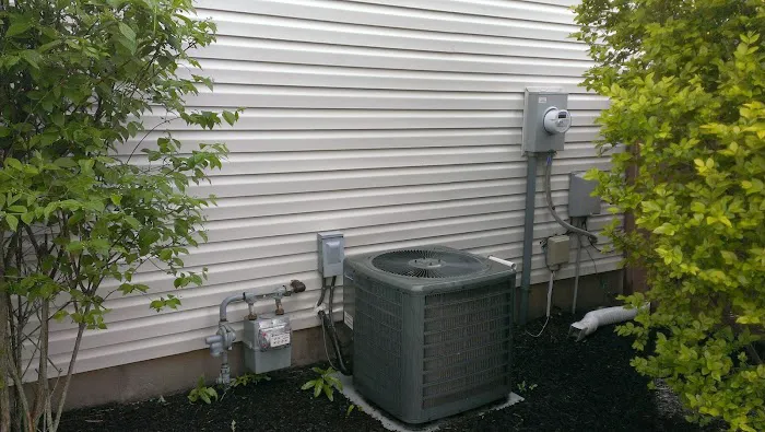 Prestige Pest Unit & House Wash Picture 5