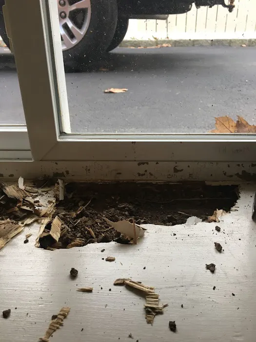 Prestige Pest Unit & House Wash Picture 1