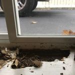 Prestige Pest Unit & House Wash