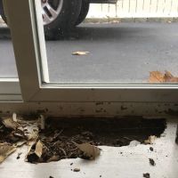 Prestige Pest Unit & House Wash ico