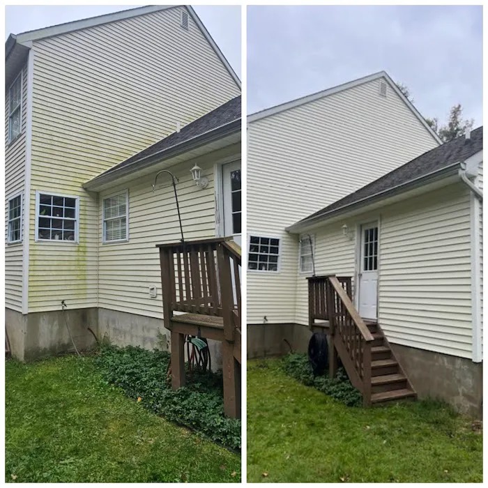 Prestige Pest Unit & House Wash Picture 4