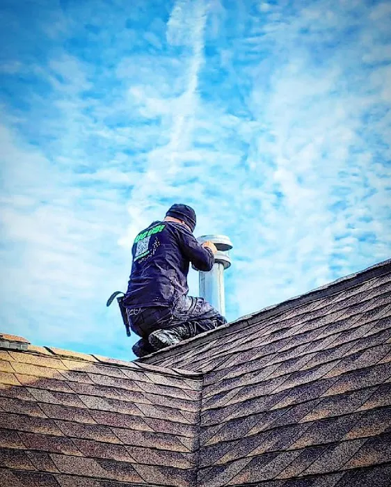 Ecotect Pest Elimination Picture 1