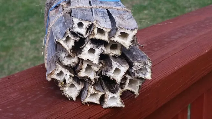 Ecotect Pest Elimination Picture 9