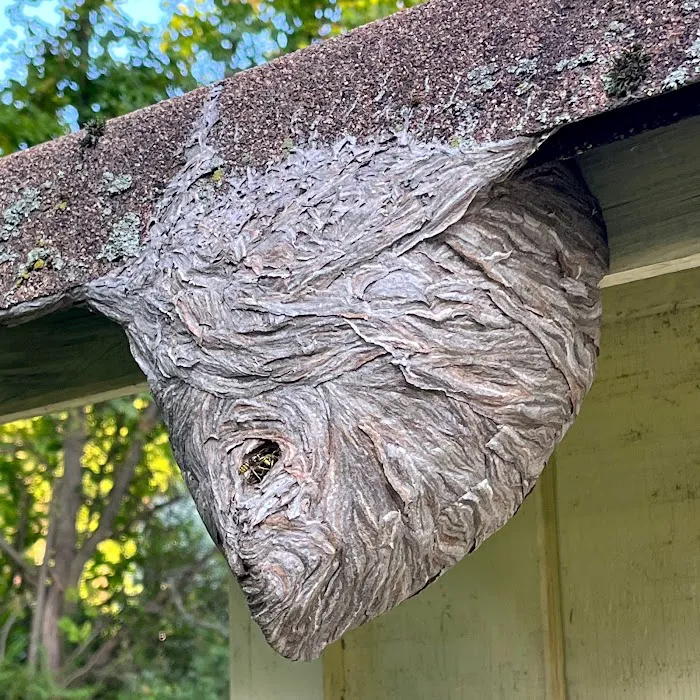 Bustabug Pest Control Picture 10