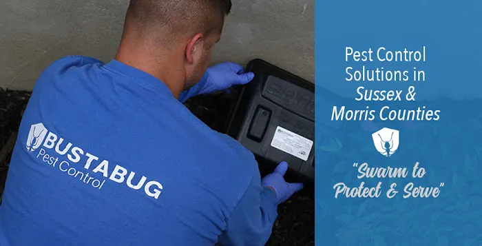 Bustabug Pest Control Picture 1