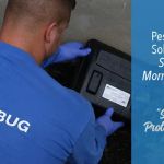 Bustabug Pest Control