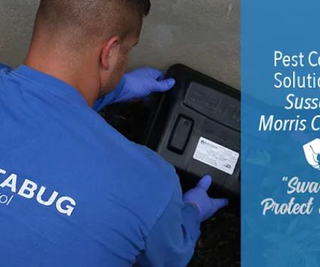 Bustabug Pest Control