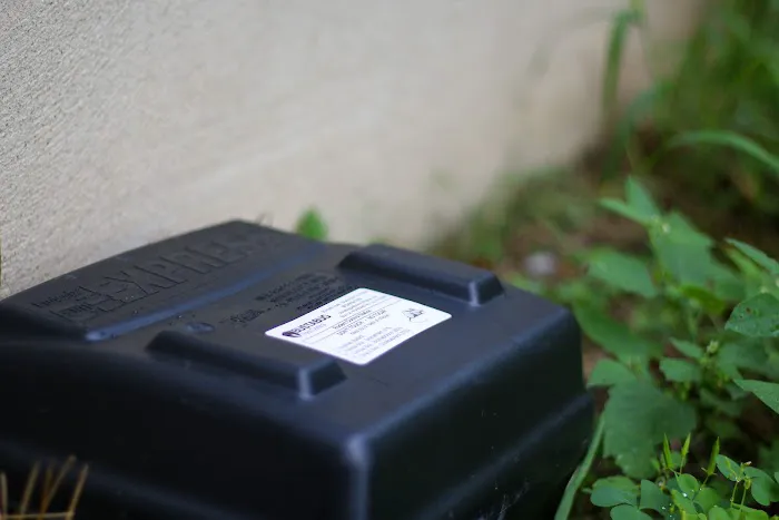 Bustabug Pest Control Picture 6