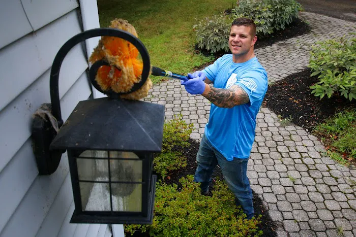 Bustabug Pest Control Picture 7