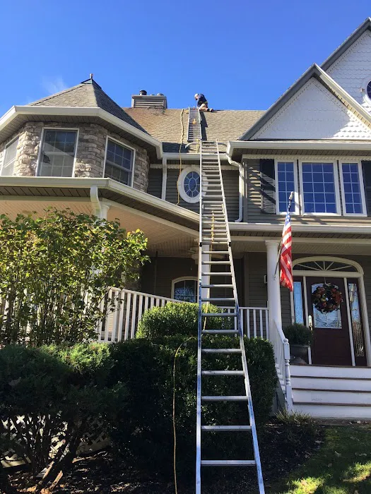 Adams Animal Bat Removal & Wildlife Control Picture 4