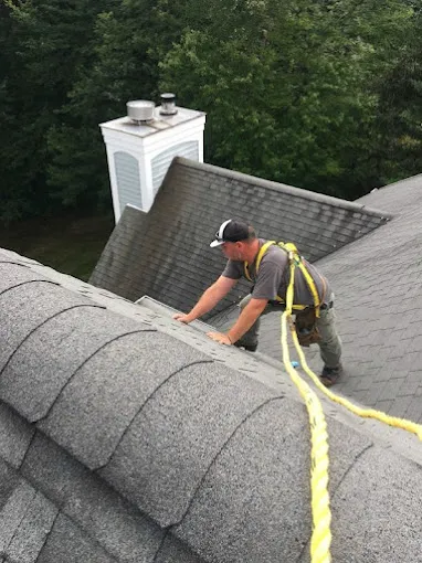 Adams Animal Bat Removal & Wildlife Control Picture 7