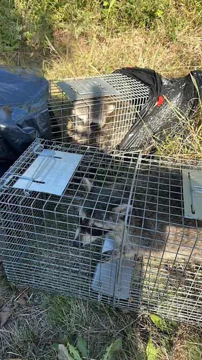 Uptown Pest Control Picture 1