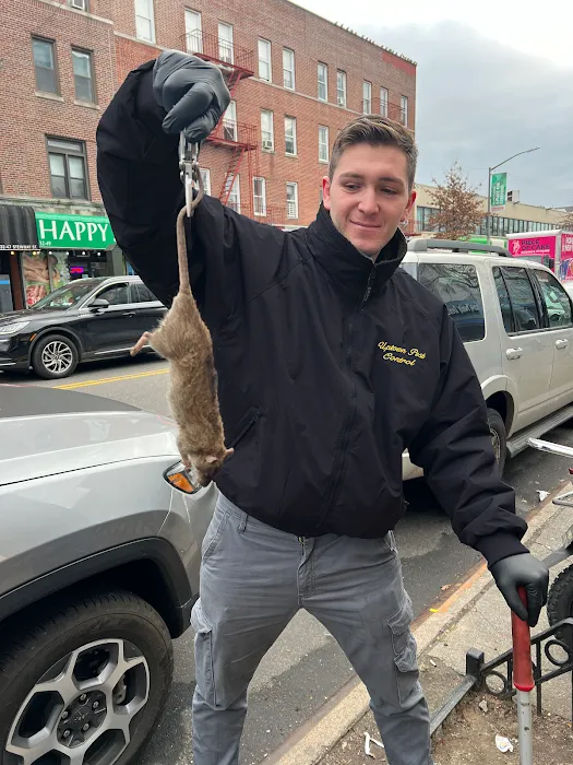 Uptown Pest Control Picture 2