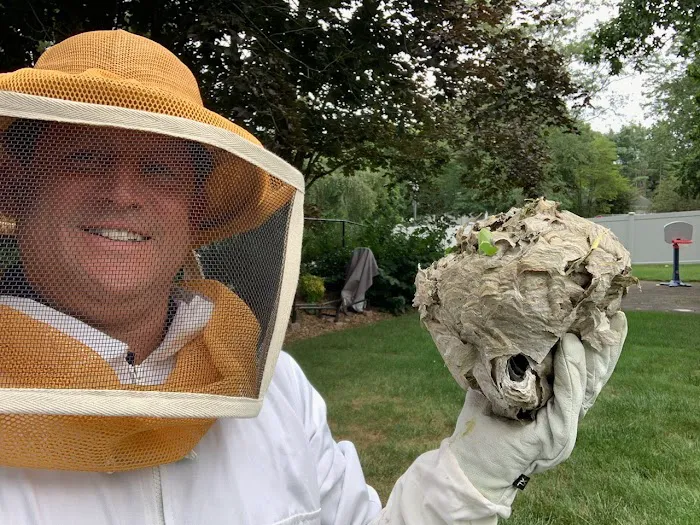 Doug's Bugs Exterminating Picture 5