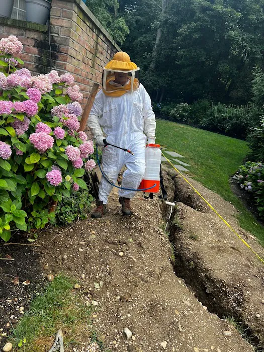 Mosquito Joe of North Shore Long Island NY Picture 7