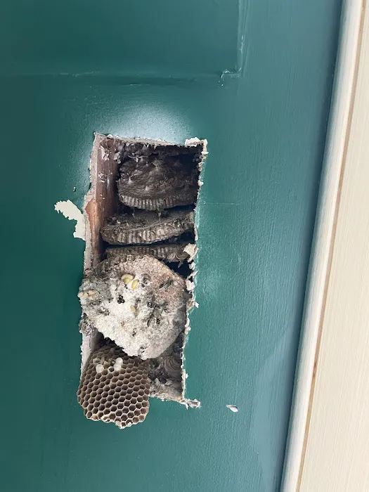 MASTERS EXTERMINATNG AND PEST CONTROL INC. Picture 2