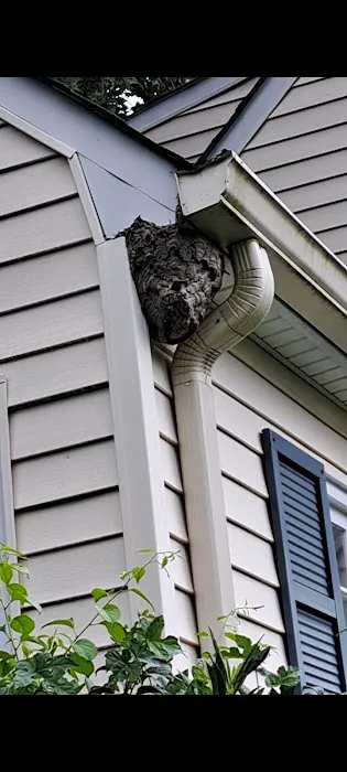 MASTERS EXTERMINATNG AND PEST CONTROL INC. Picture 4