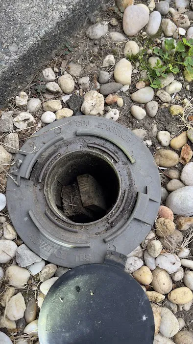 Paramount Pest Management Picture 8