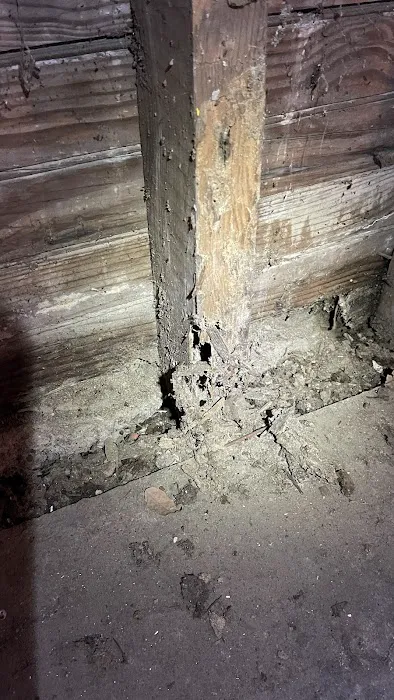 Paramount Pest Management Picture 10