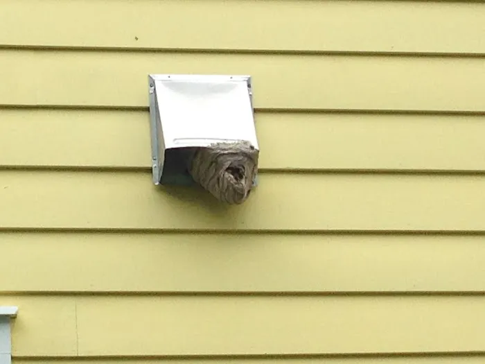 Paramount Pest Management Picture 9
