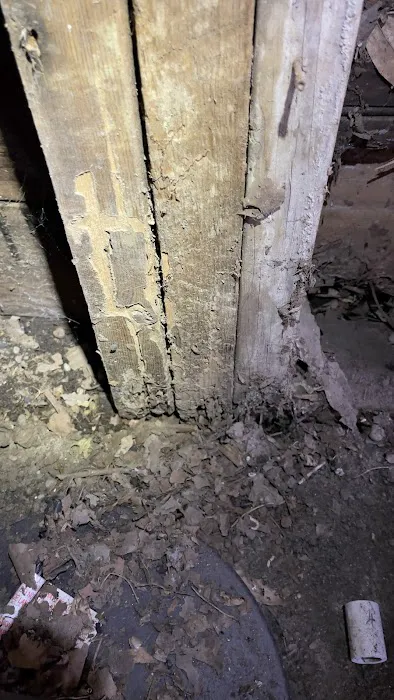 Paramount Pest Management Picture 6