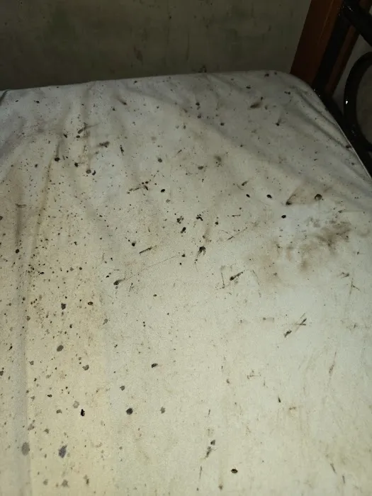 gam exterminating Picture 3