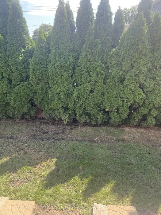 Ultimate Pest Control Inc. Picture 8