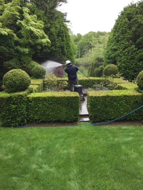 EDG Poison Ivy weed removal, Mosquito and Tick Control Picture 2