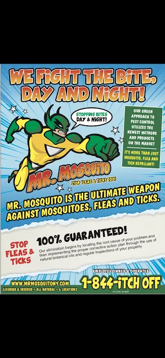 Mr. Mosquito Picture 1