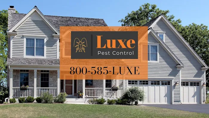 Luxe Pest Control Picture 2