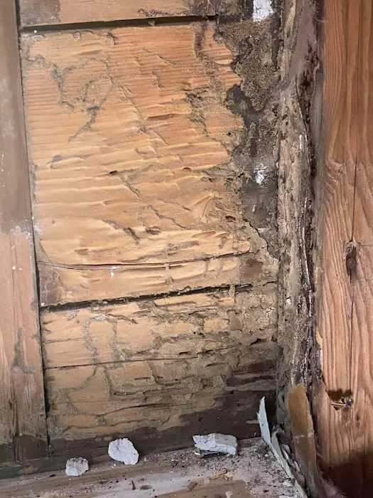 Long Island Exterminating Company Picture 1